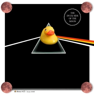 Duck Side of the Moon
